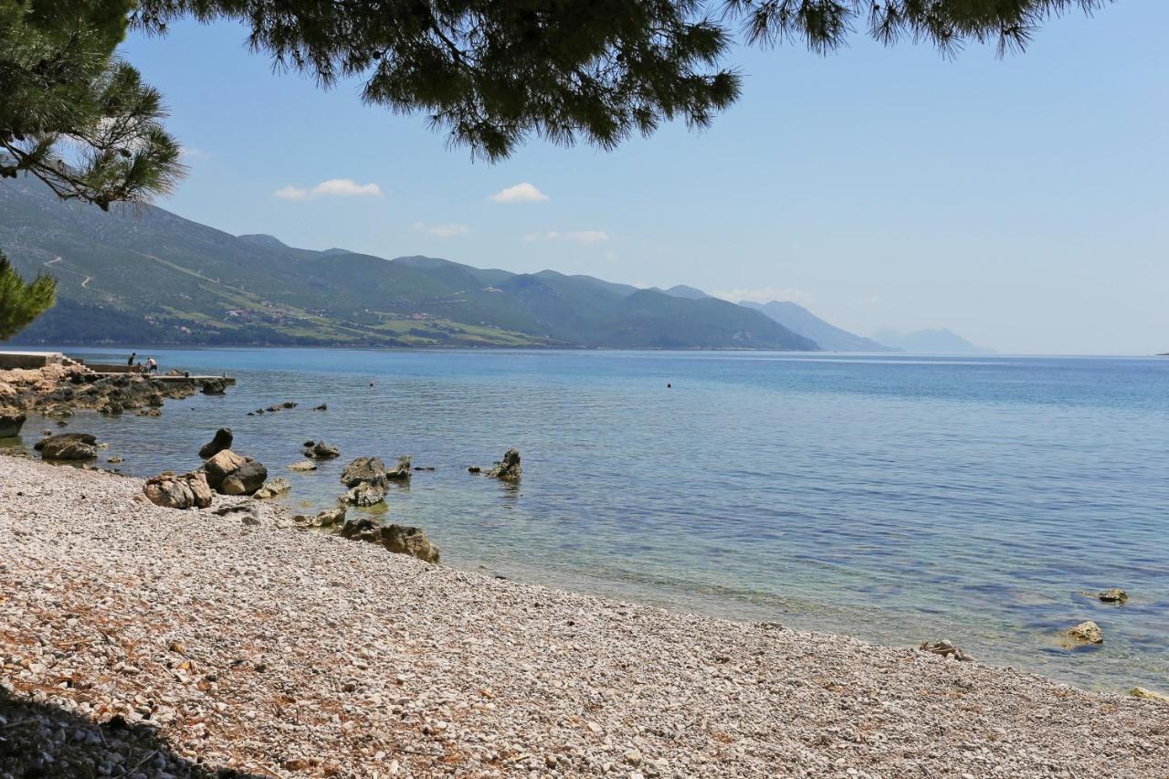 Apartments With A Parking Space Orebic, Peljesac - 10102 Bagian luar foto